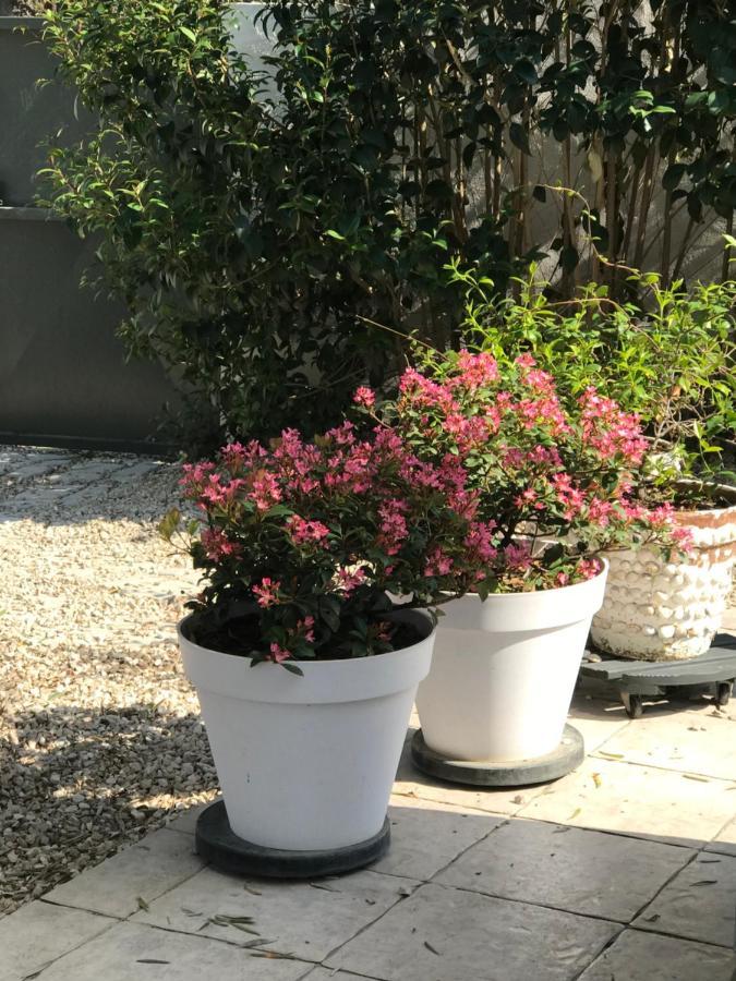 D'hotes Les Oliviers - Bed & Breakfast