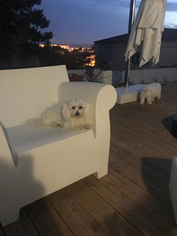 D'hotes Les Oliviers - * Marignane