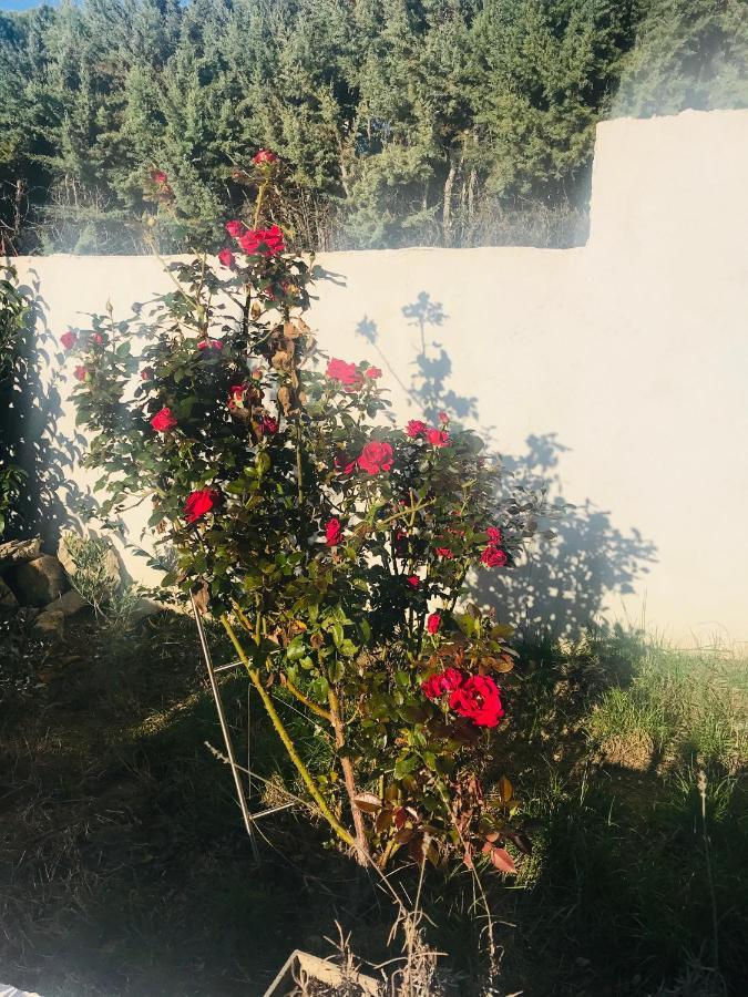 D'hotes Les Oliviers - Bed & Breakfast *